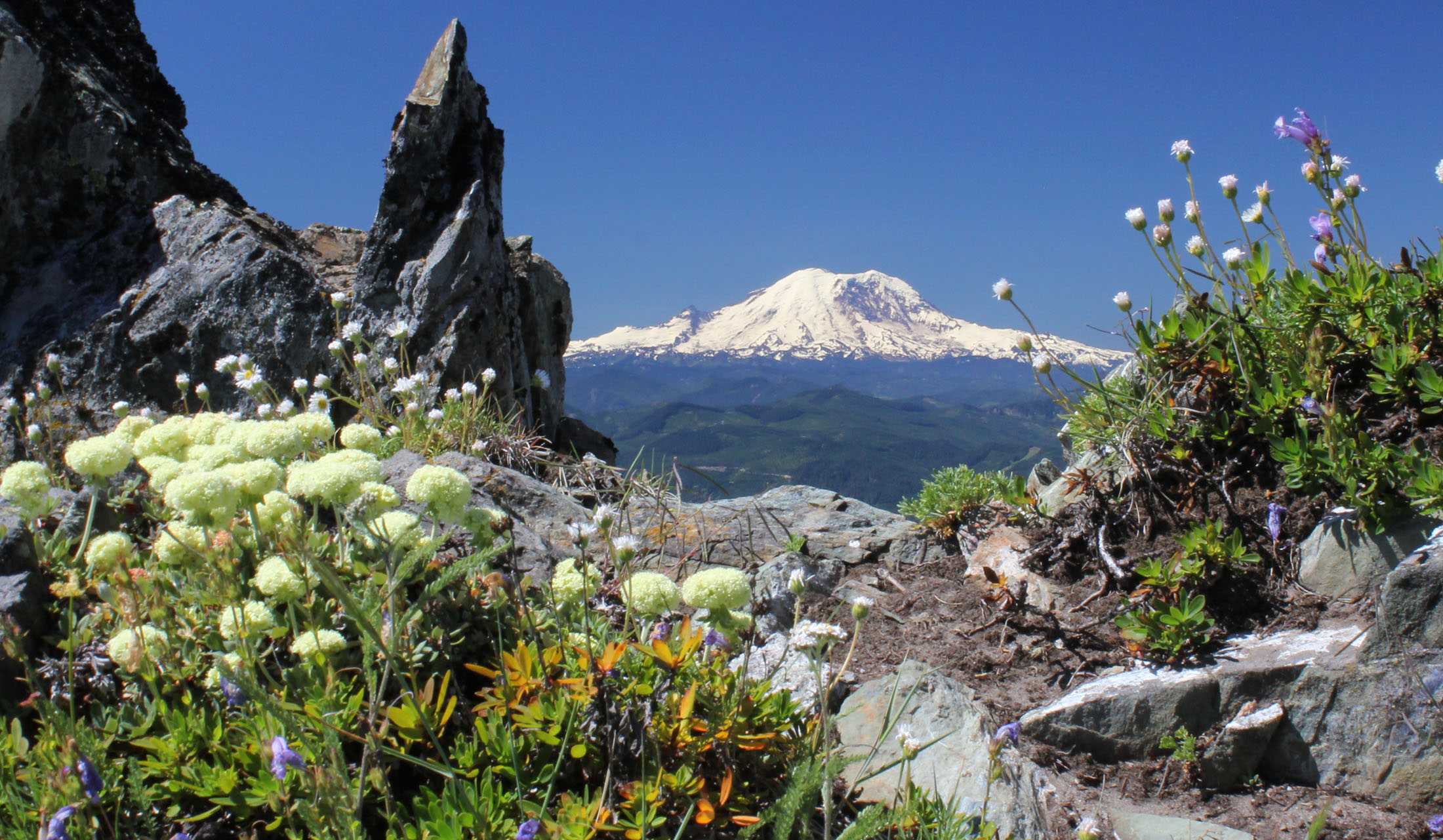 Thorp Mountain, Thorp Lake — Washington Trails Association